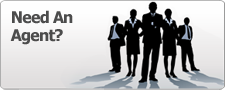 Need a Real Estate agent?